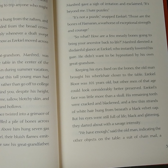 Charlie Bone Castle Mirrors Book 4 Junior Fantasy Fiction Chapter Book - Picture 9 of 9